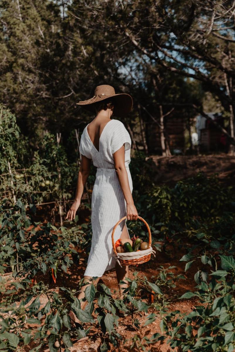 Can Vistabella Boutique Resort