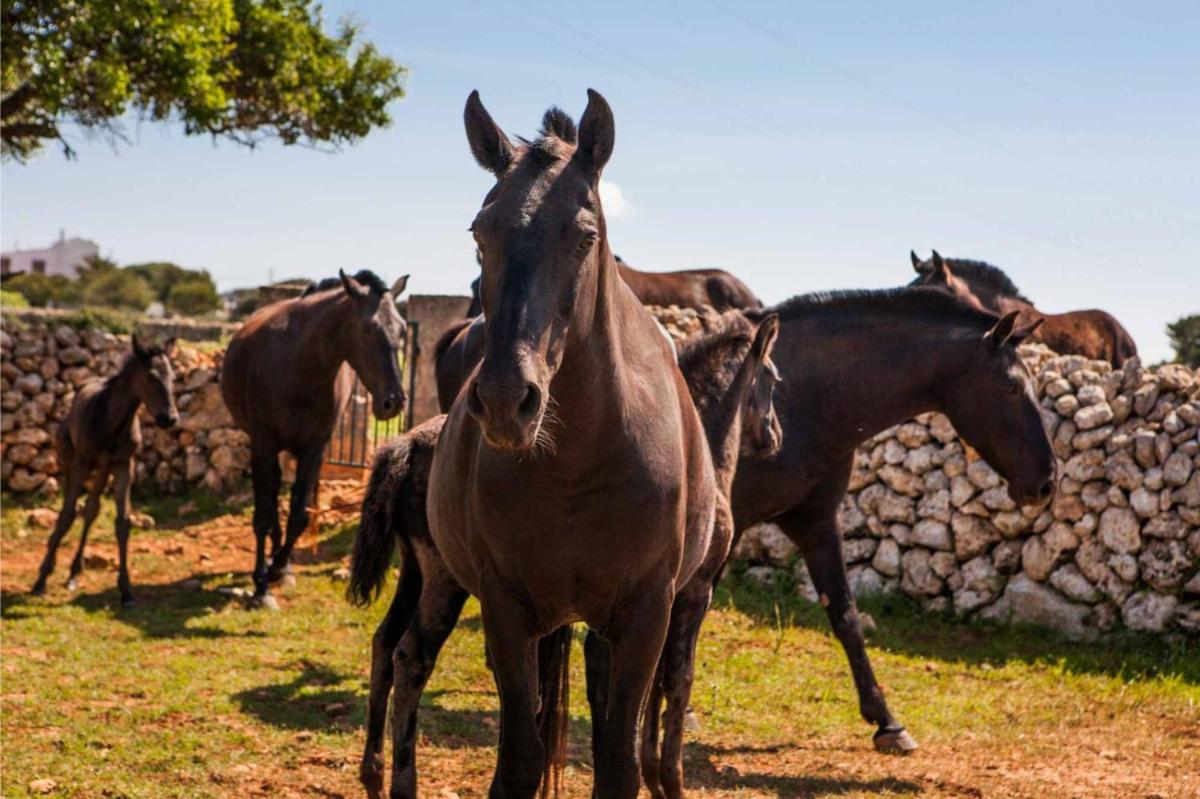 CAP Menorca Relais & Chateaux