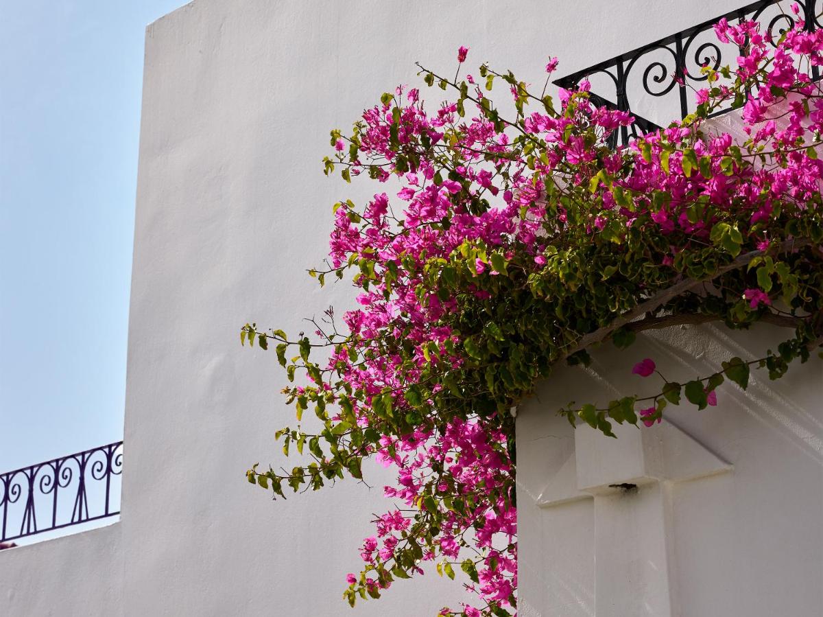 Caramel, A Grecotel Resort to Live