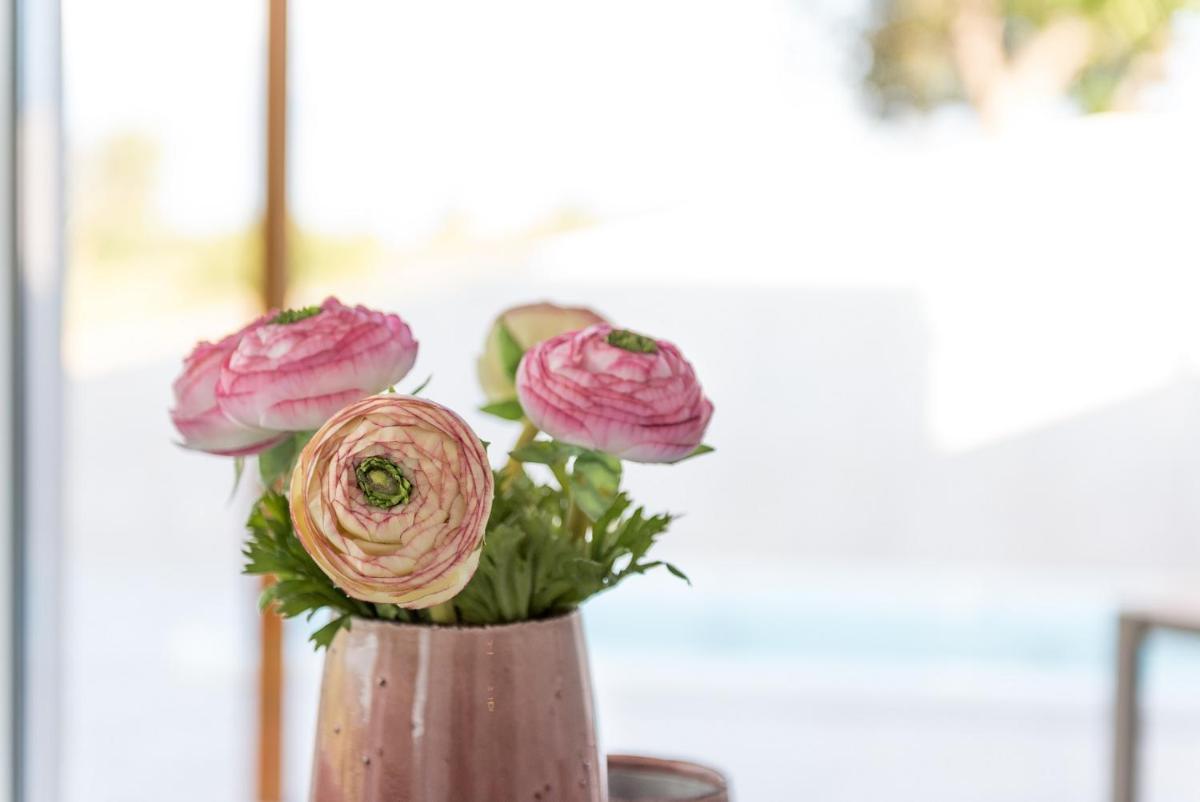 Cas Cabo Nou Agroturismo Adults Only