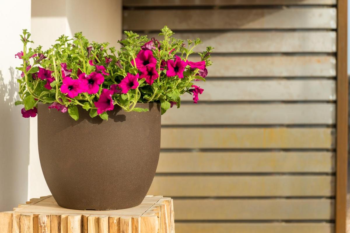 Cas Cabo Nou Agroturismo Adults Only