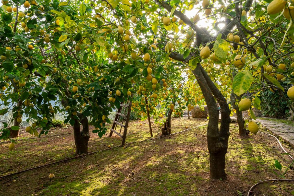 Ca's Xorc Luxury Retreat - ADULTS ONLY