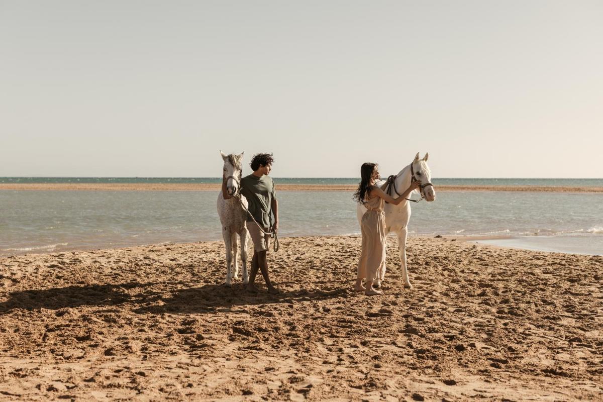 Casa Cook El Gouna - Adults Only