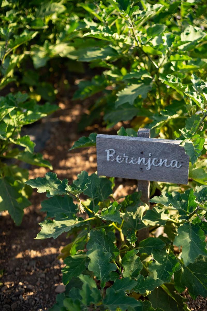 Casa Maca