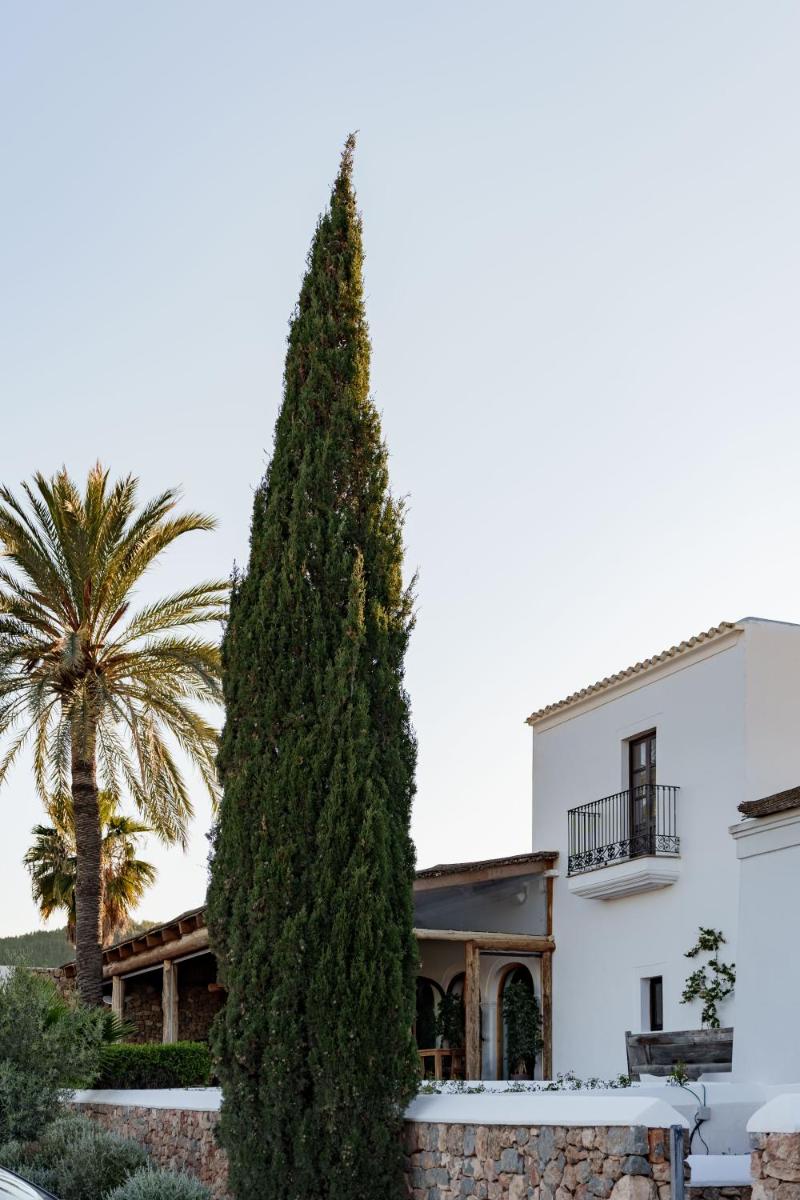 Casa Maca