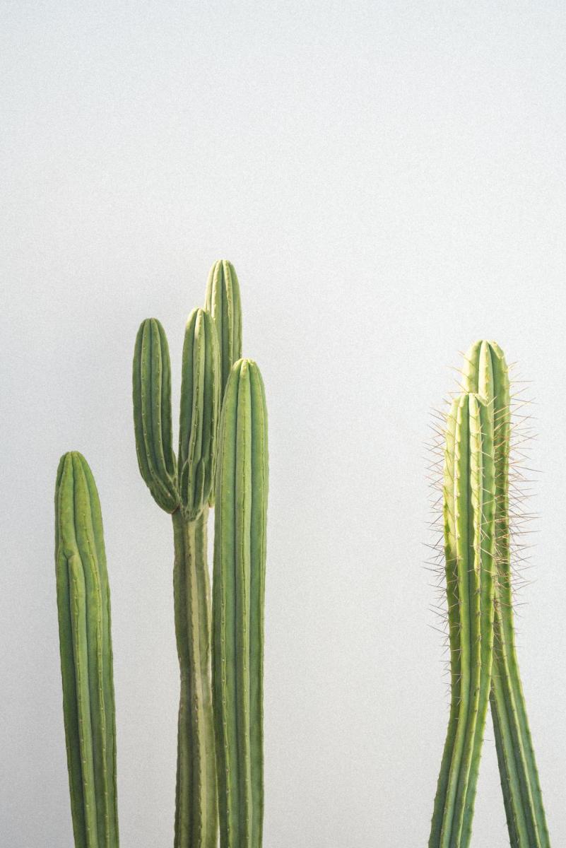 Casa Montelongo - Adults Only