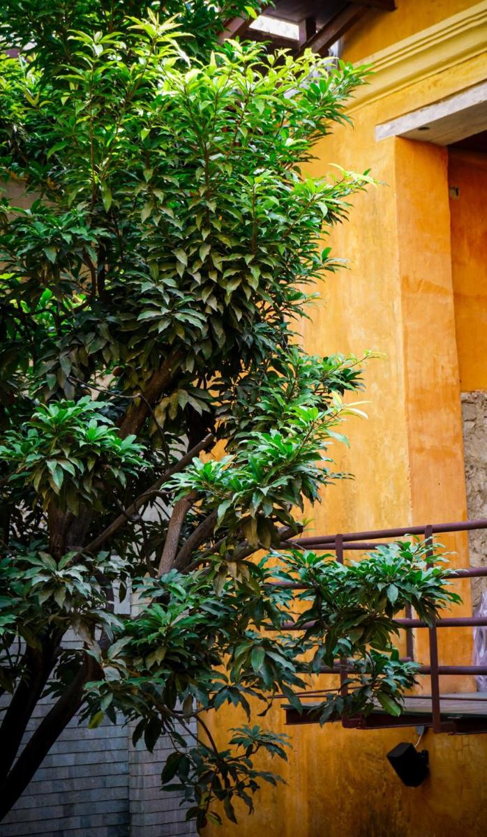 Casa Carolina Luxury Wellness Hotel