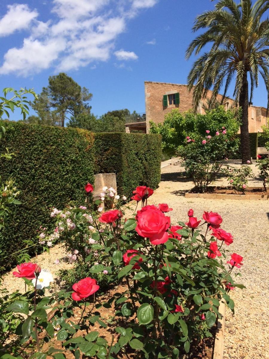 Casa Rural Son Bernadinet