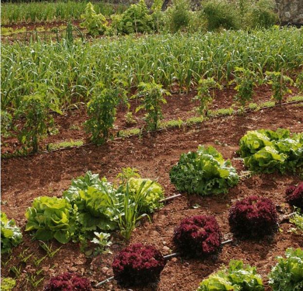 Casa Rural Son Bernadinet