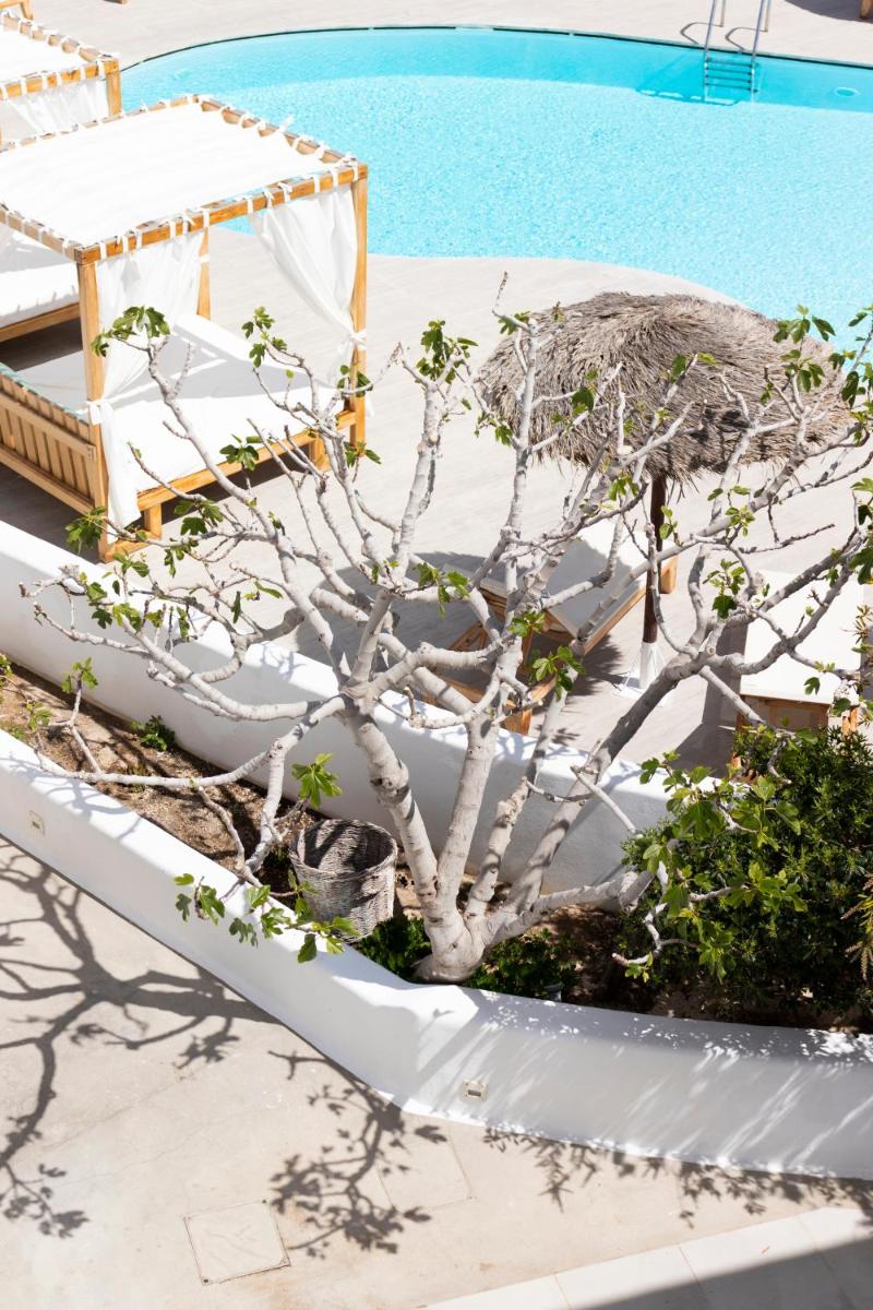 Casa Vitae Suites