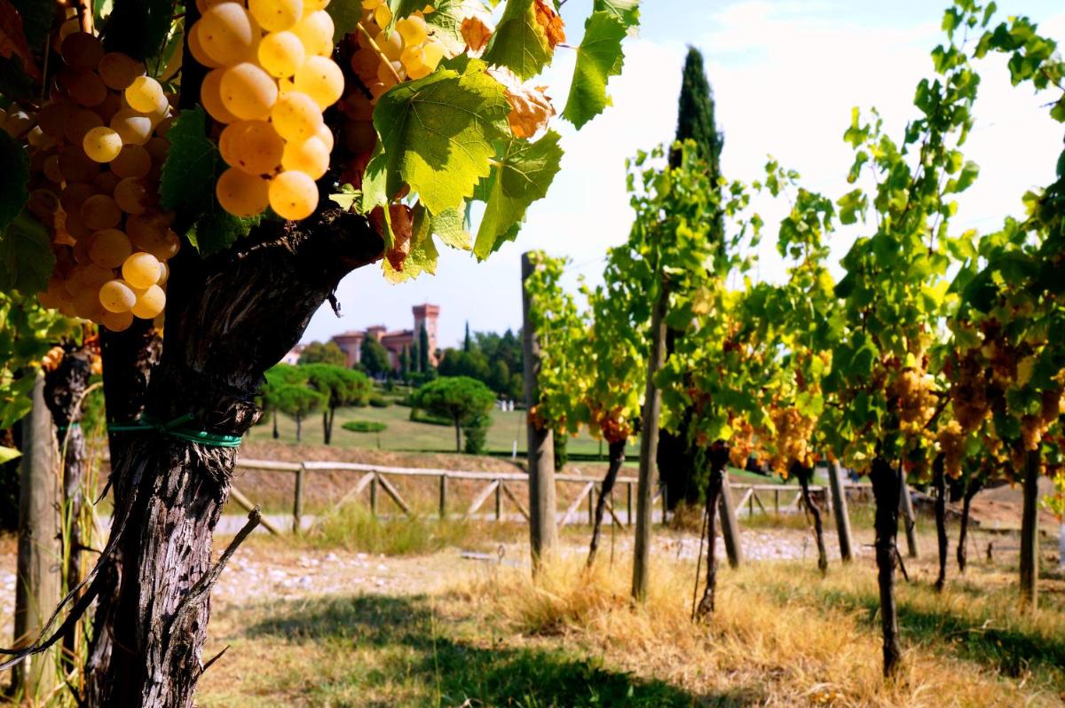 Casale in Collina