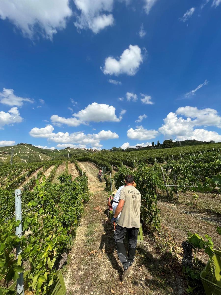 Tenuta Baràc