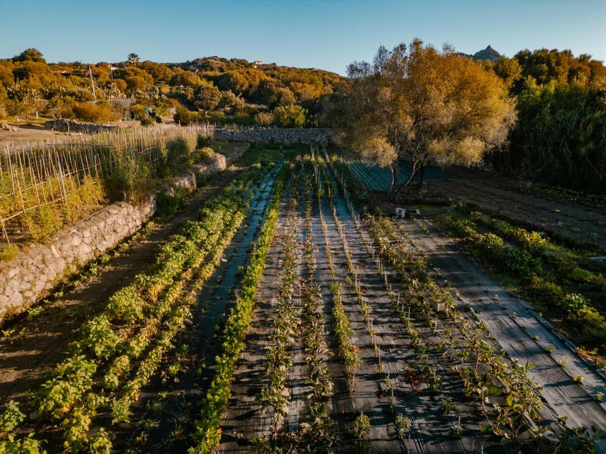 Cascioni Eco Retreat