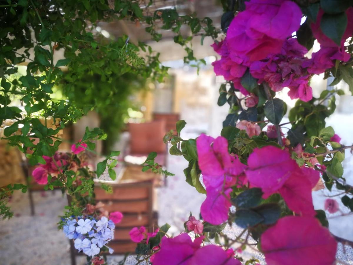 Casette Marianeddi -Agriturismo Marianeddi