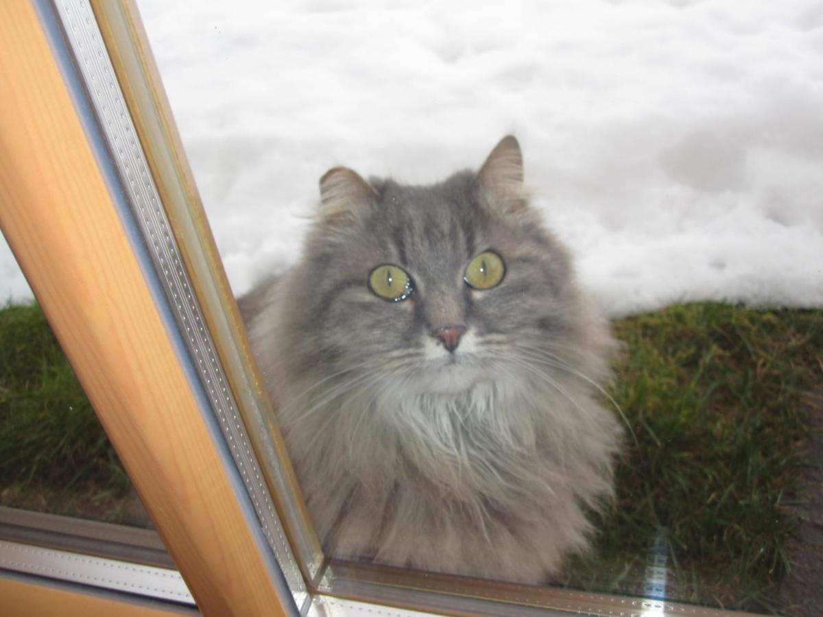 Castelir Suite Hotel