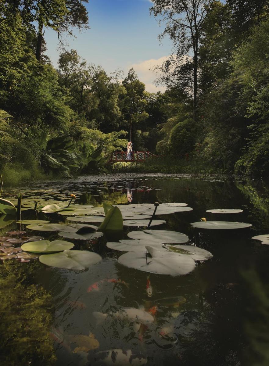 Portmeirion Village & Castell Deudraeth