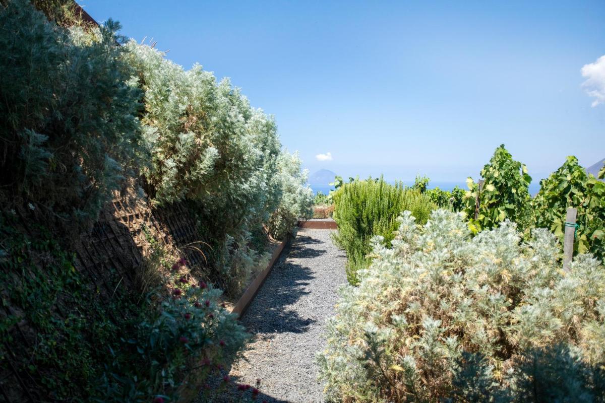 Tenuta di Castellaro Winery & Resort