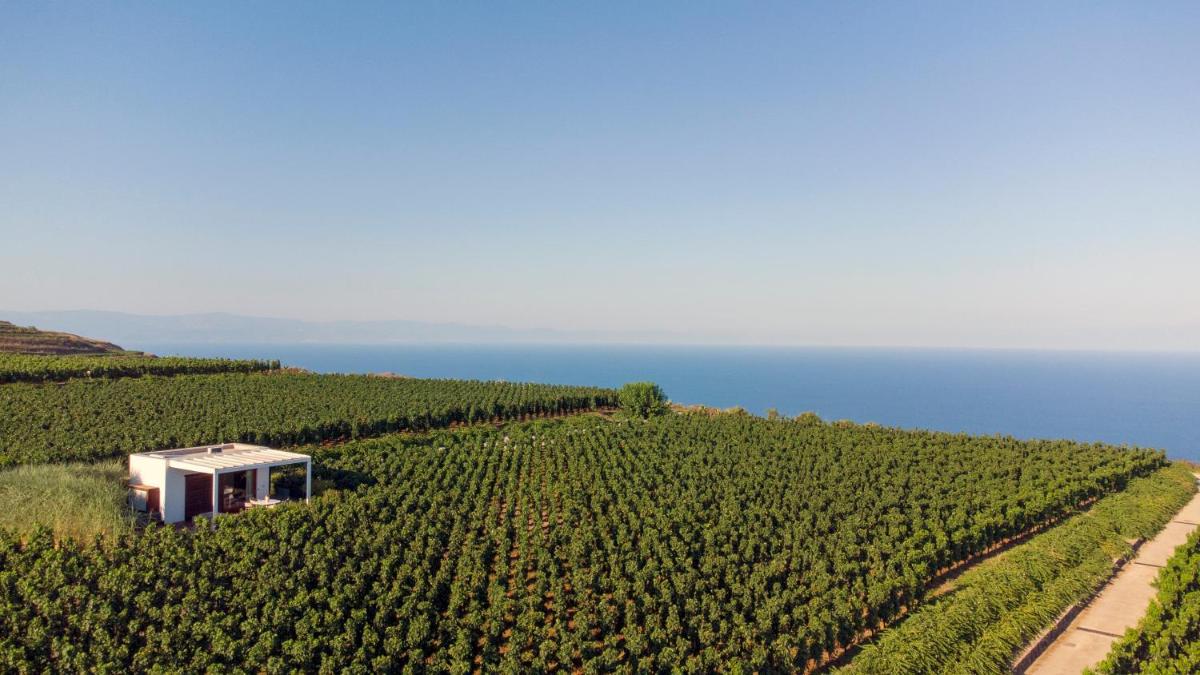 Tenuta di Castellaro Winery & Resort