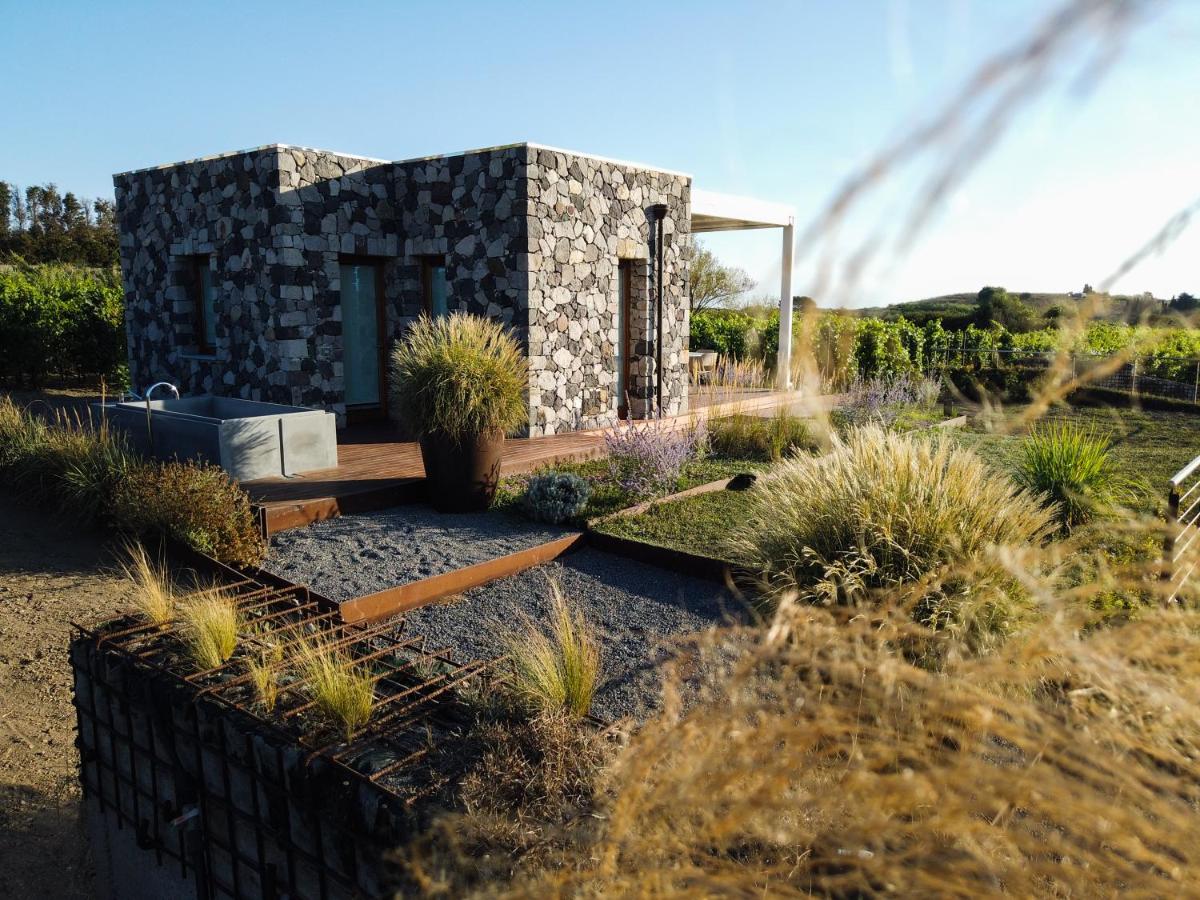 Tenuta di Castellaro Winery & Resort