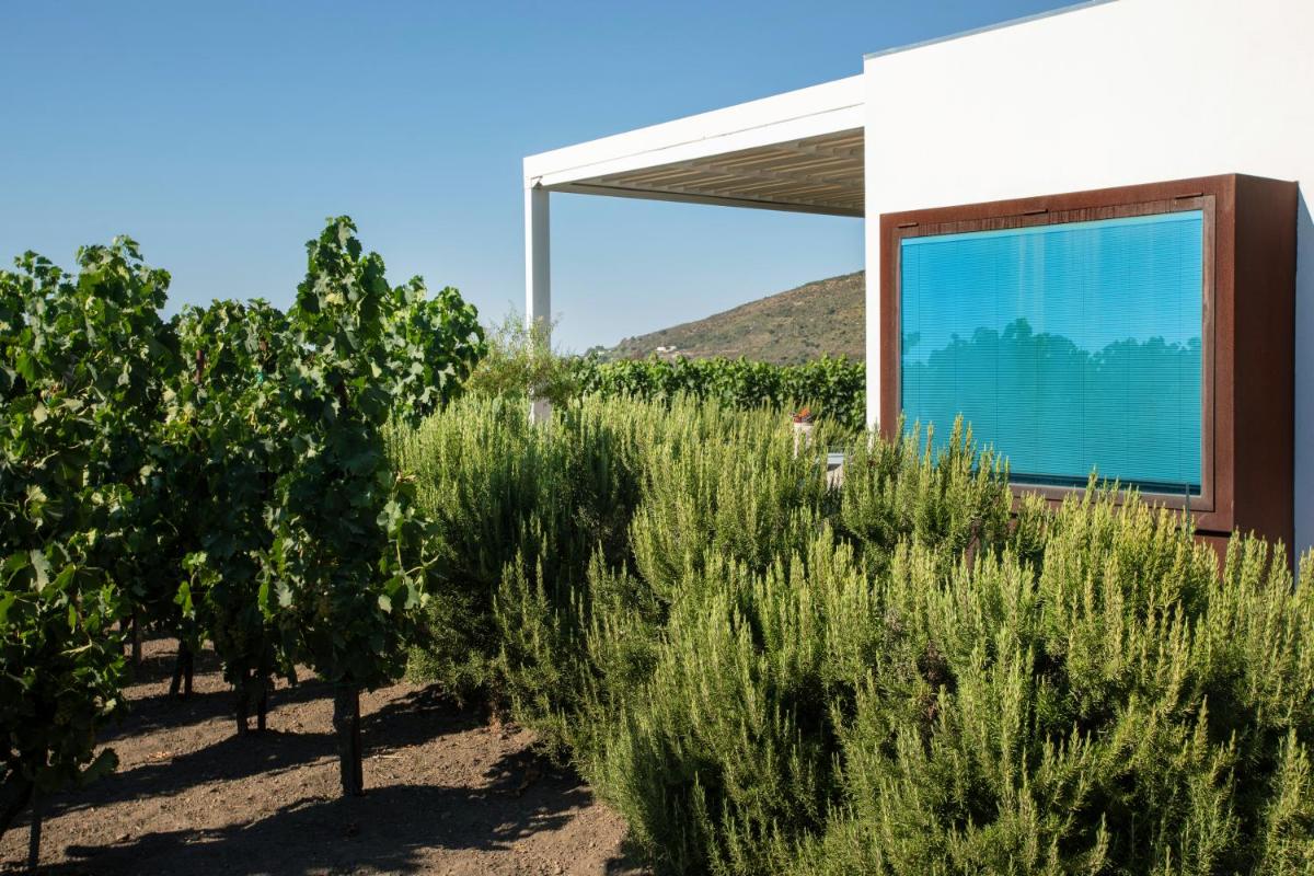 Tenuta di Castellaro Winery & Resort