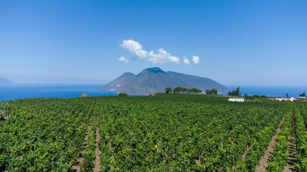 Tenuta di Castellaro Winery & Resort