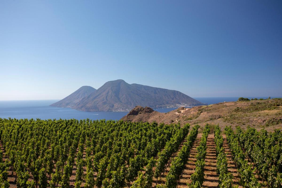 Tenuta di Castellaro Winery & Resort