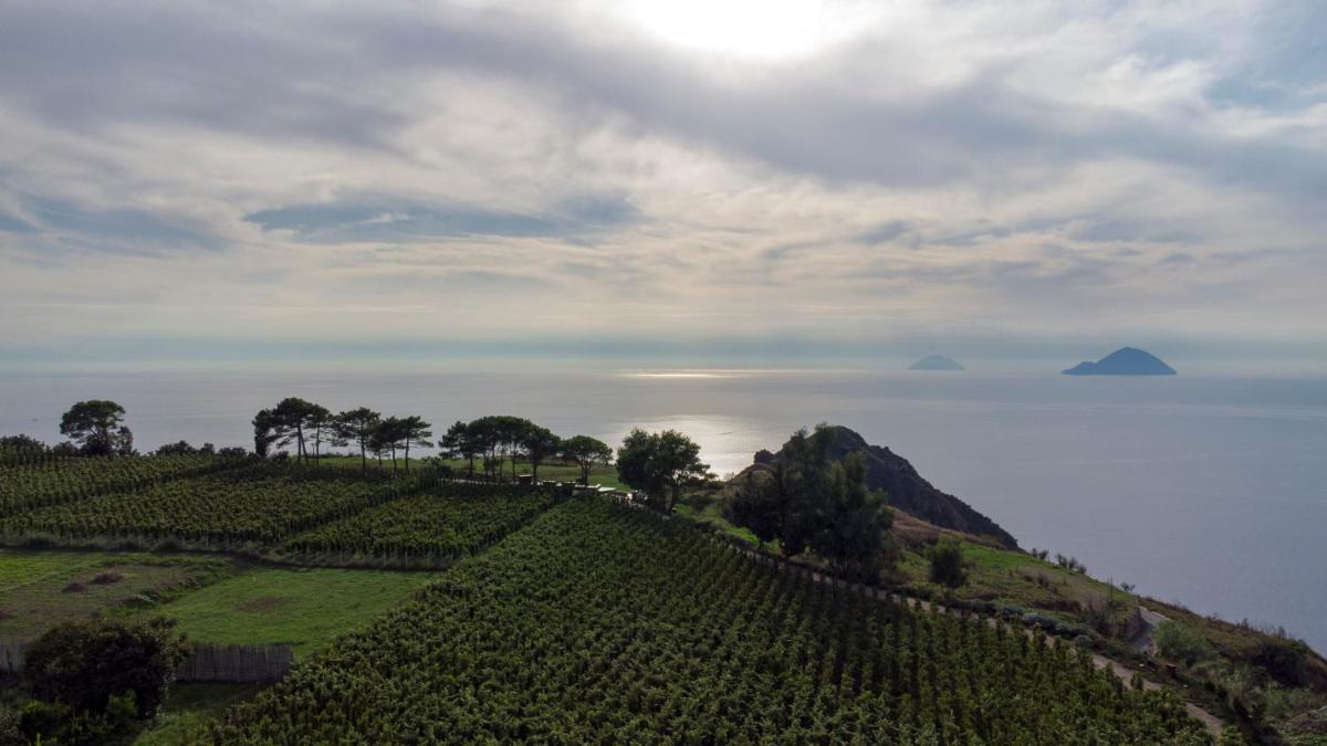 Tenuta di Castellaro Winery & Resort