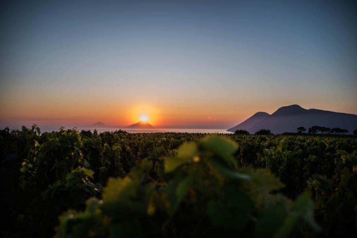 Tenuta di Castellaro Winery & Resort