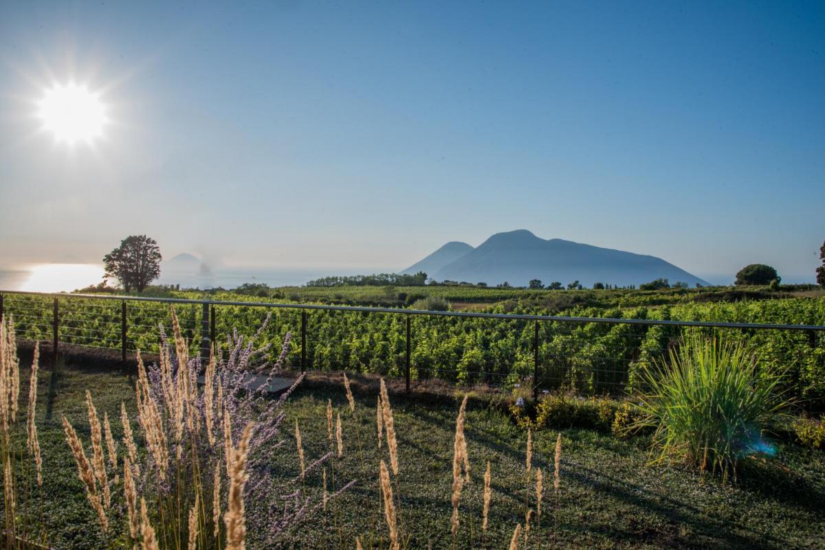 Tenuta di Castellaro Winery & Resort