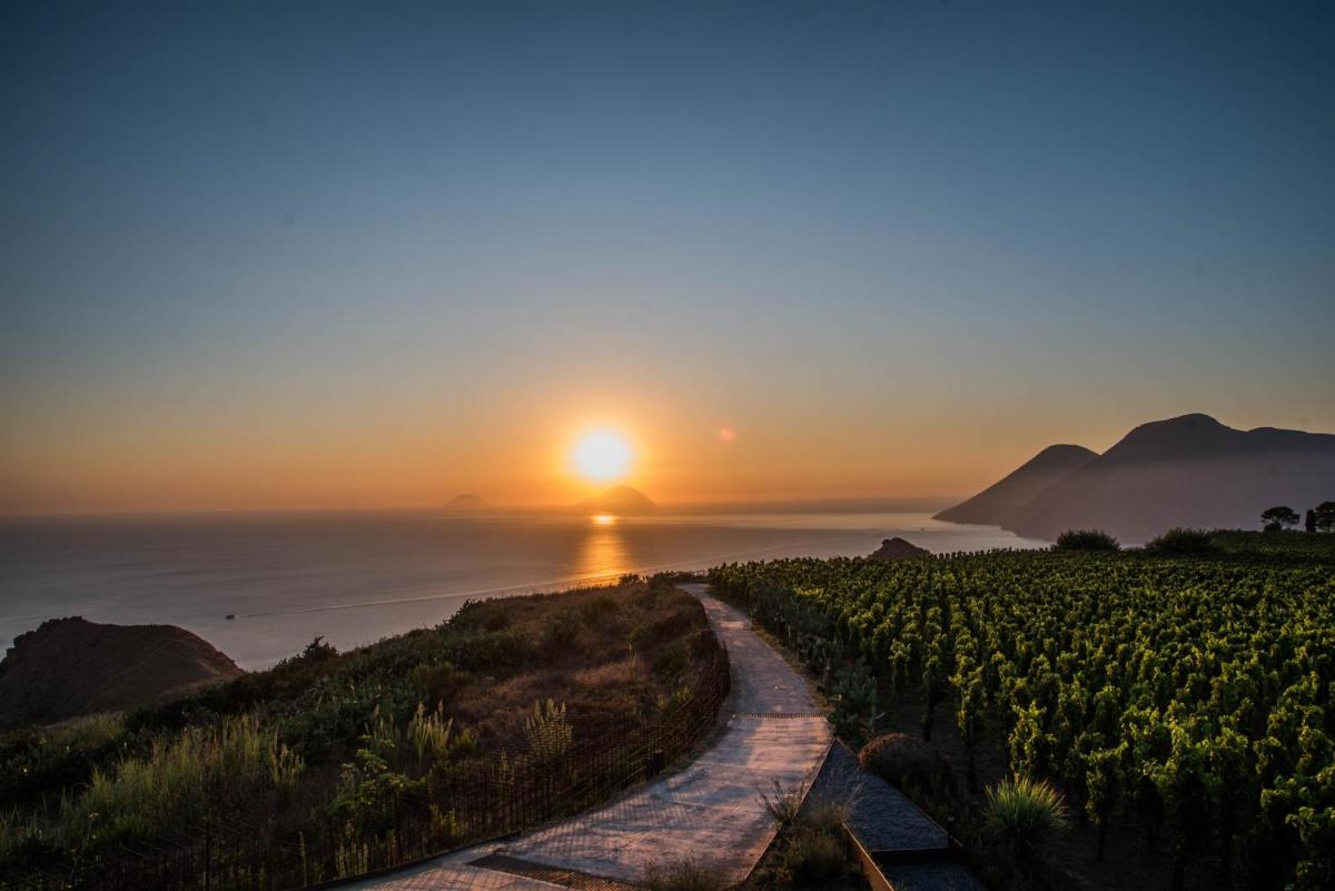 Tenuta di Castellaro Winery & Resort