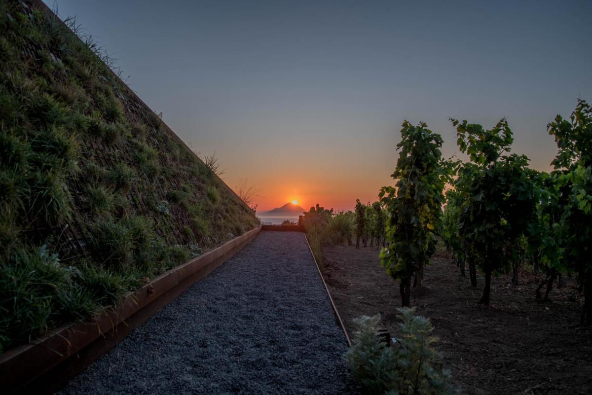 Tenuta di Castellaro Winery & Resort