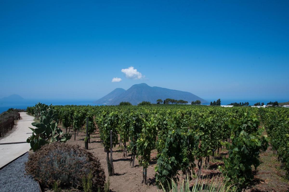 Tenuta di Castellaro Winery & Resort