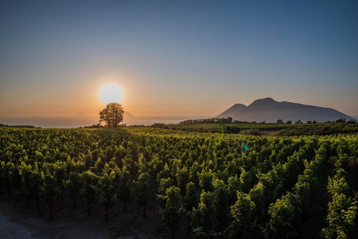 Tenuta di Castellaro Winery & Resort