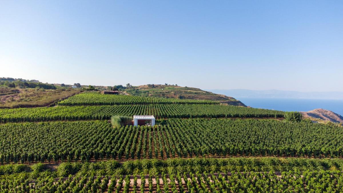 Tenuta di Castellaro Winery & Resort