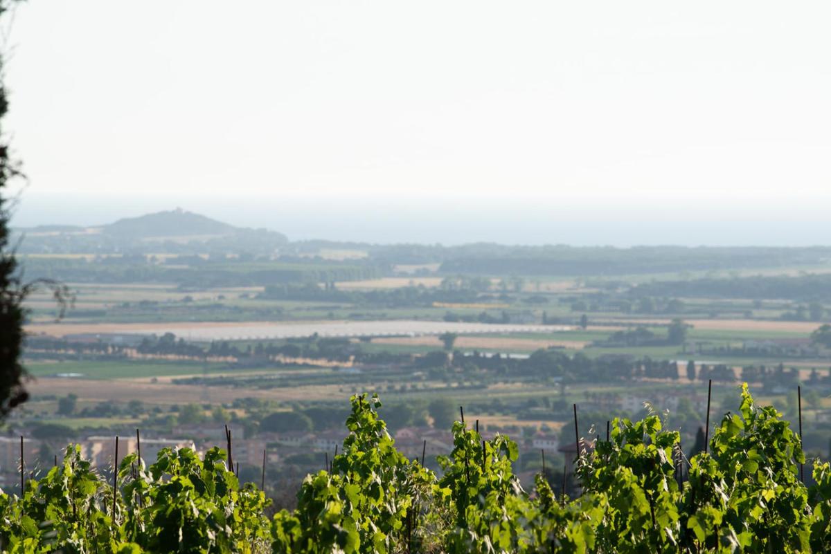 Castello Bonaria Wine & Spa Resort