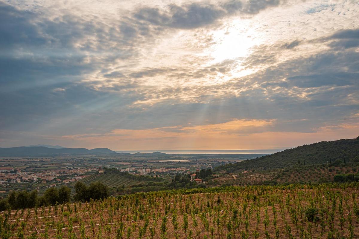 Castello Bonaria Wine & Spa Resort