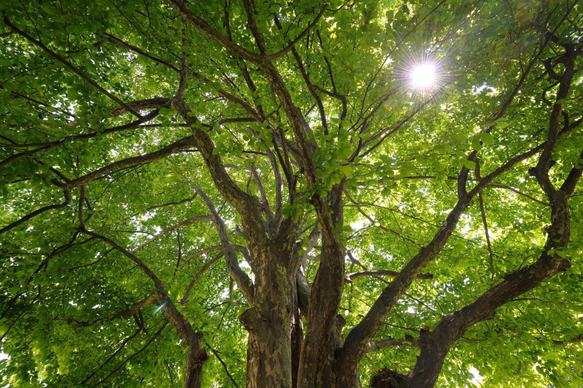 Castello del Sole Beach Resort&SPA