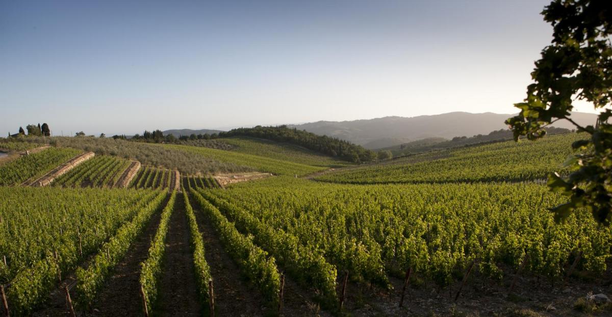 Le suites di Castello di Ama