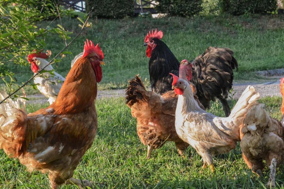 Castello di Cernusco Lombardone