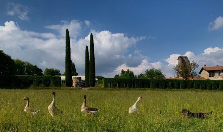 Castello di Cernusco Lombardone