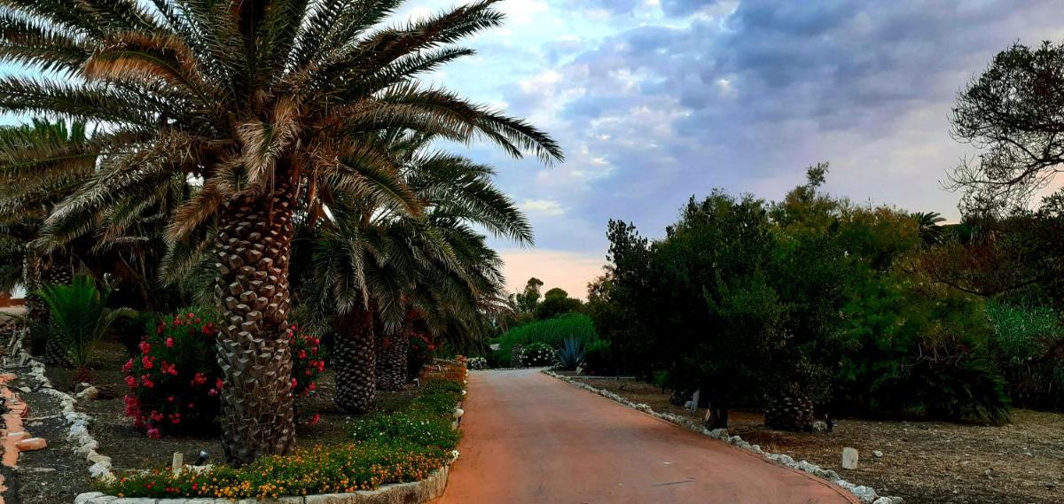 Castello di Falconara