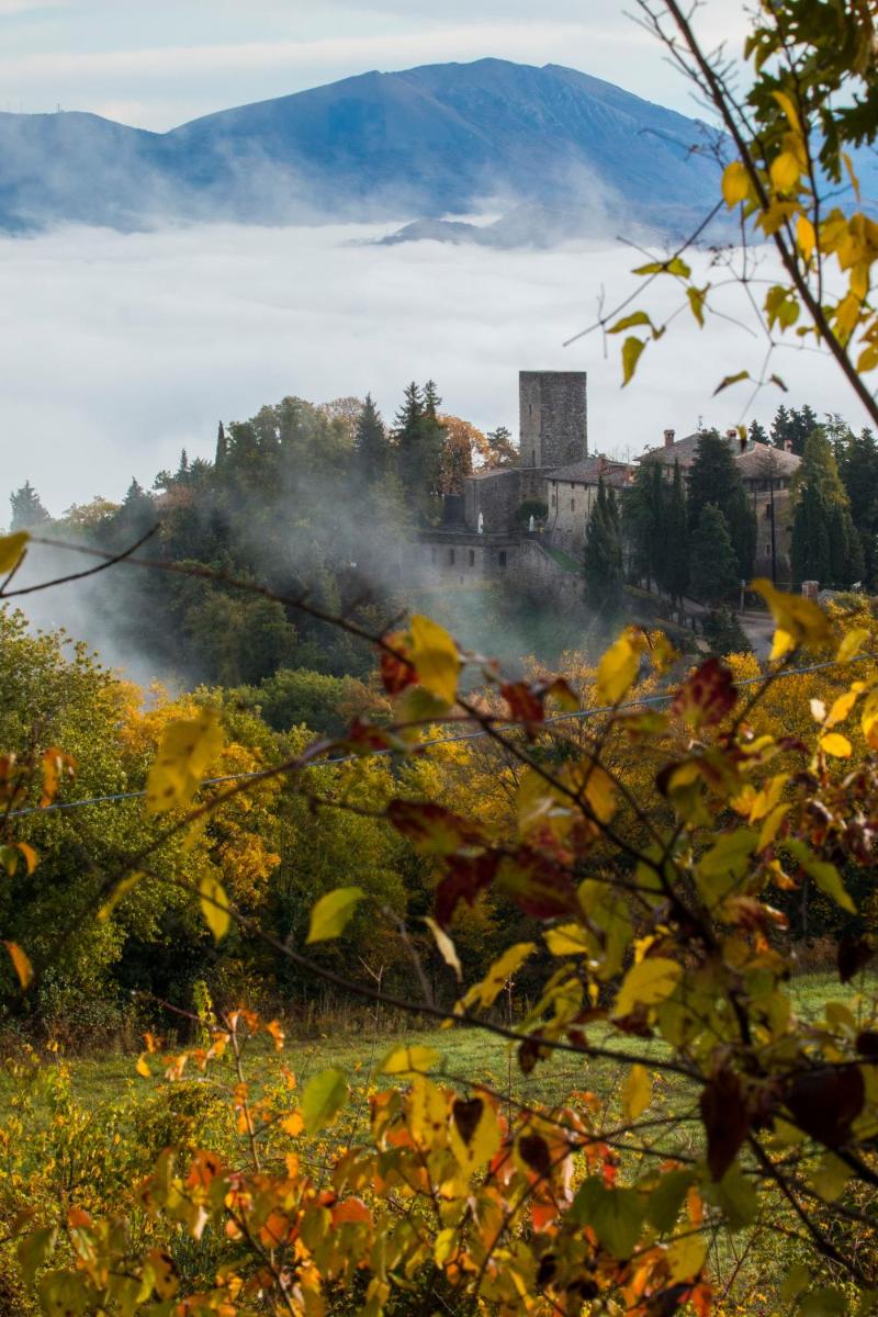 Castello di Petroia