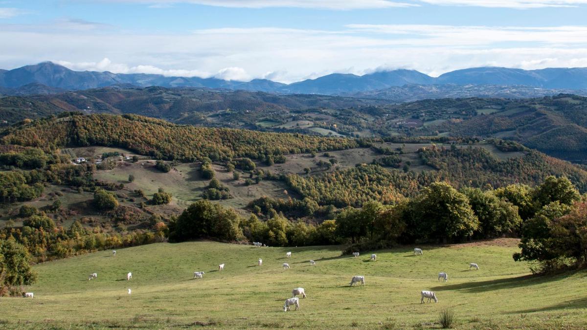 Castello di Petroia
