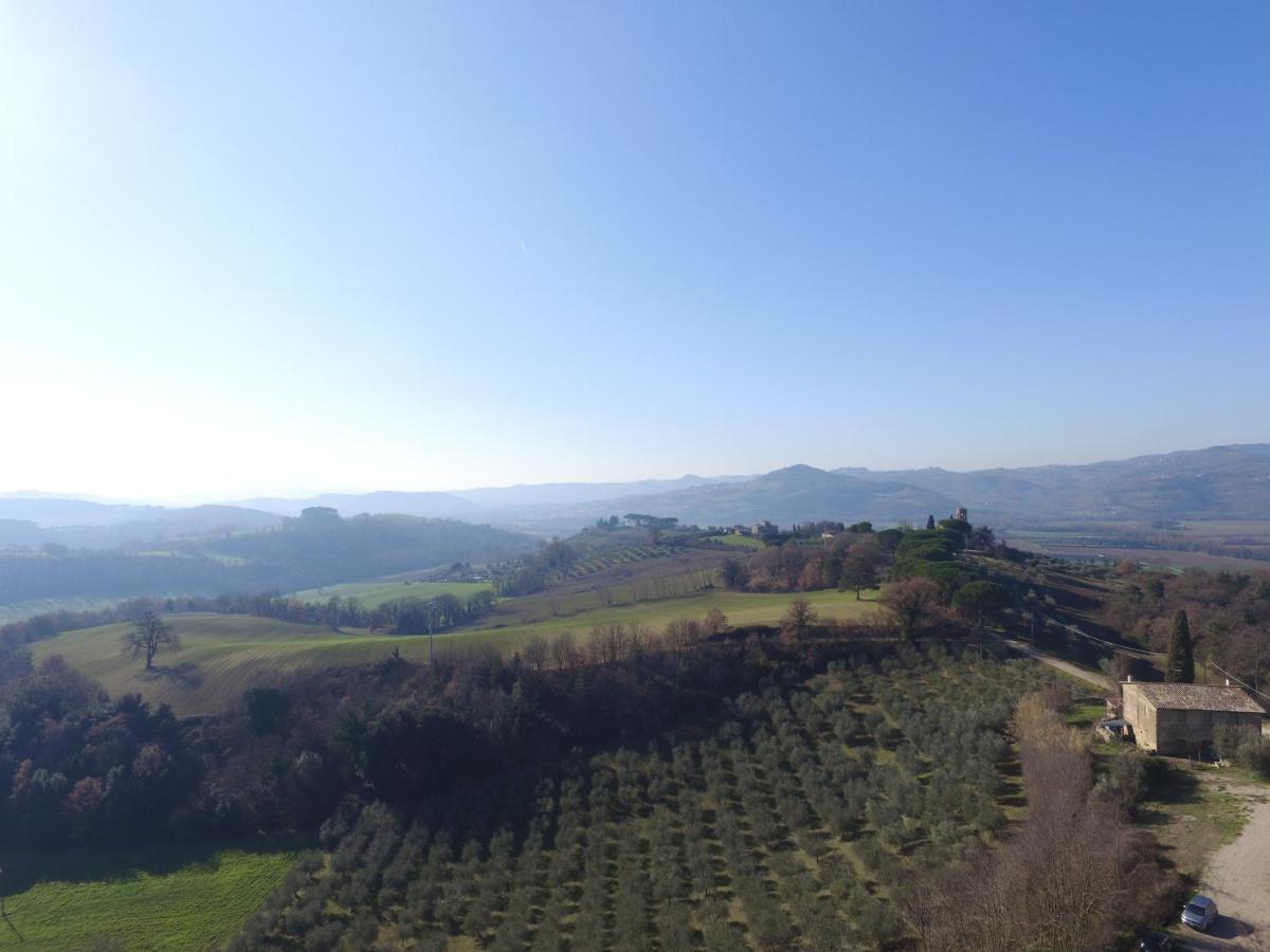 CASTELLO DI RAMAZZANO - Tenute Aliani