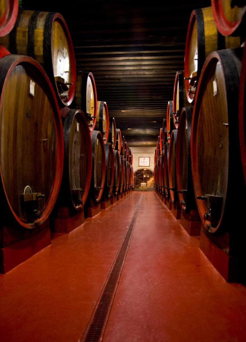 Castello di Roncade