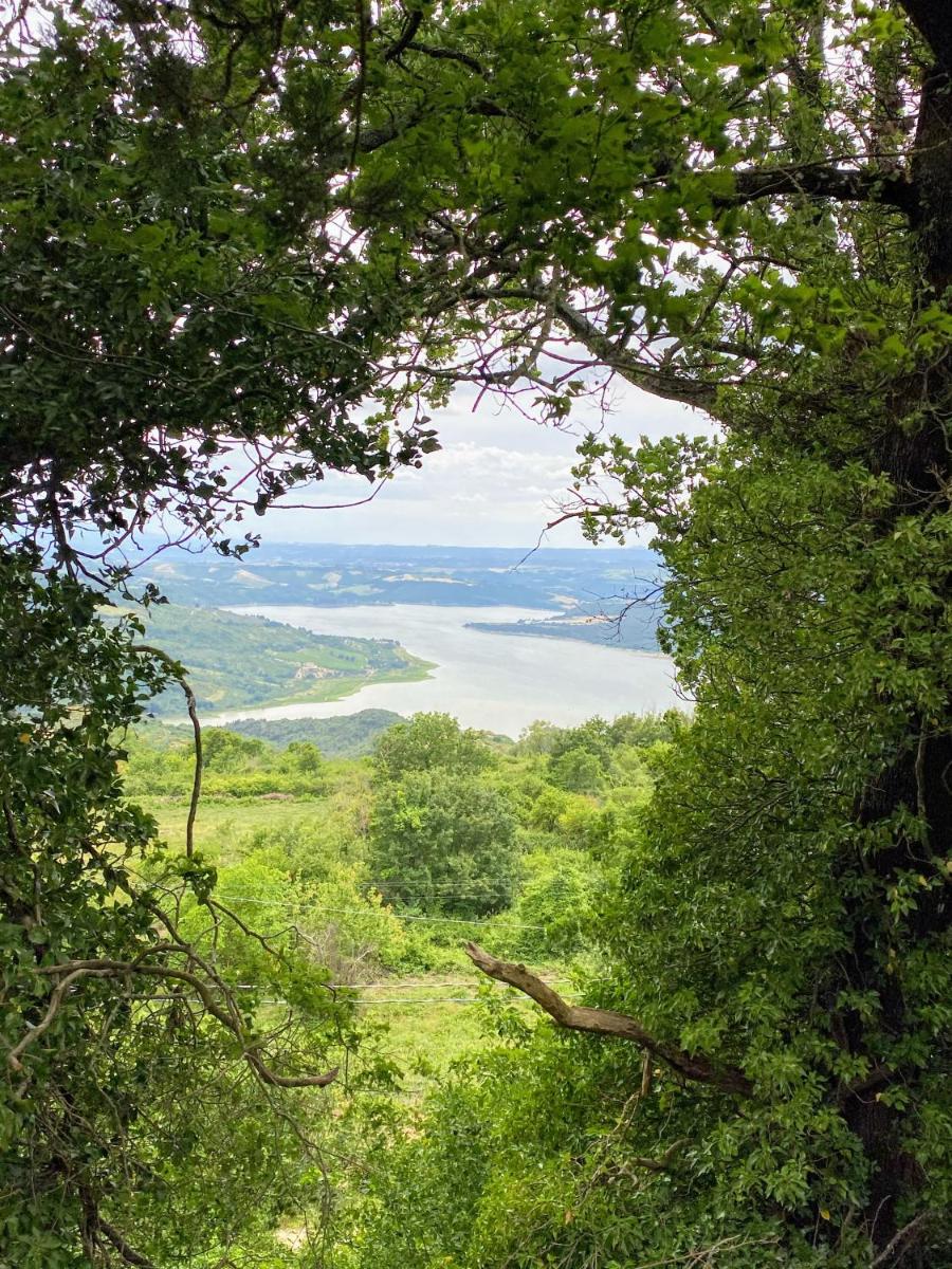 Castello di Titignano