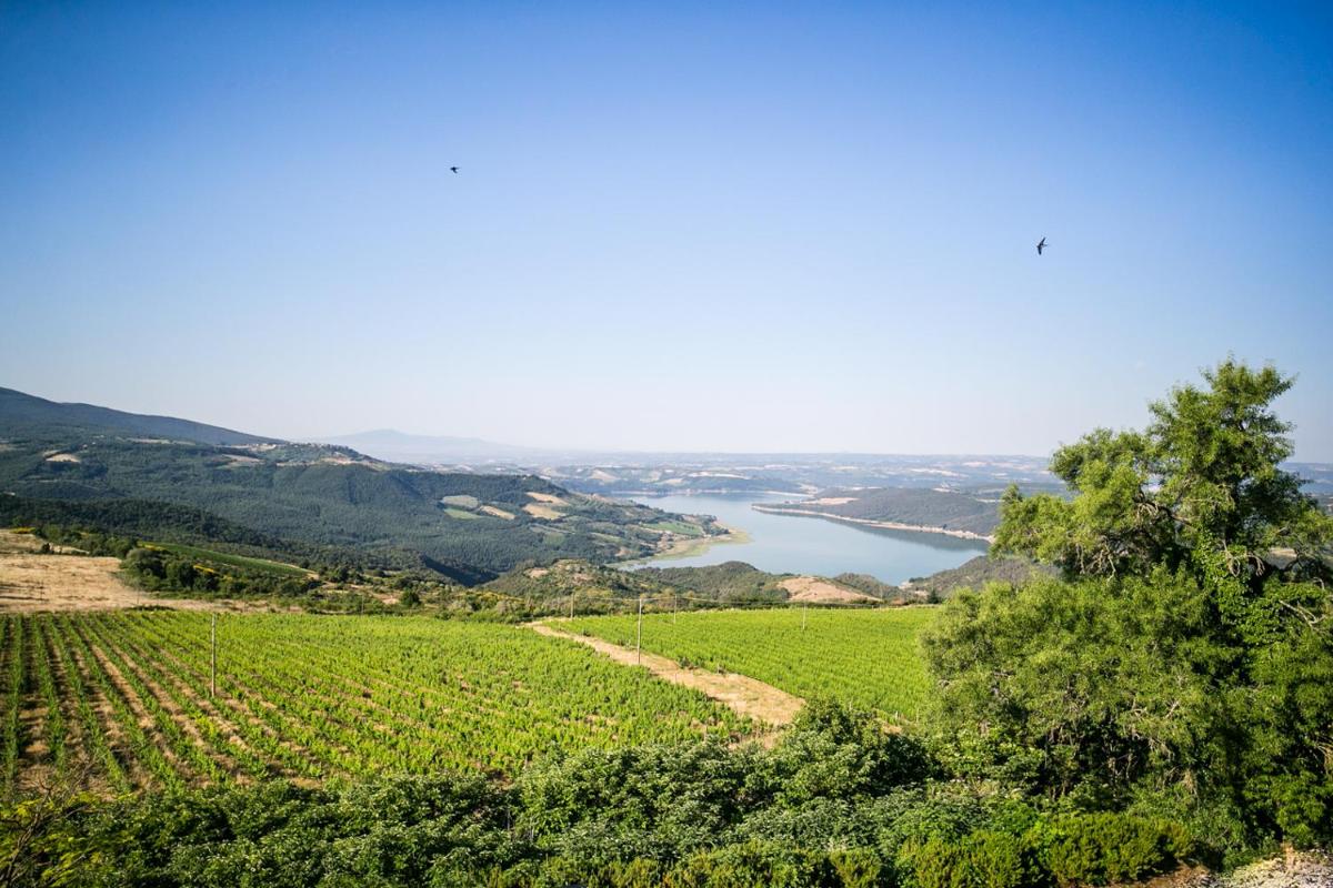 Castello di Titignano