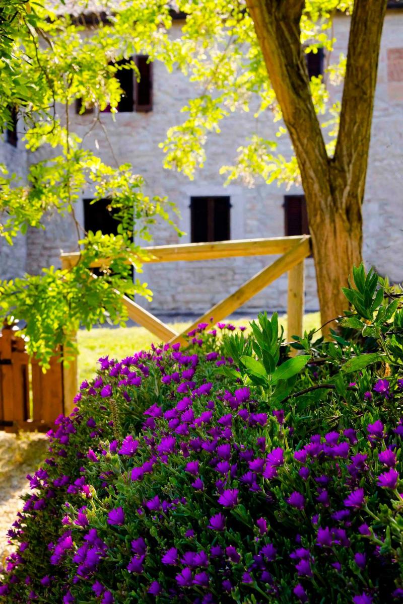 Castello di Titignano