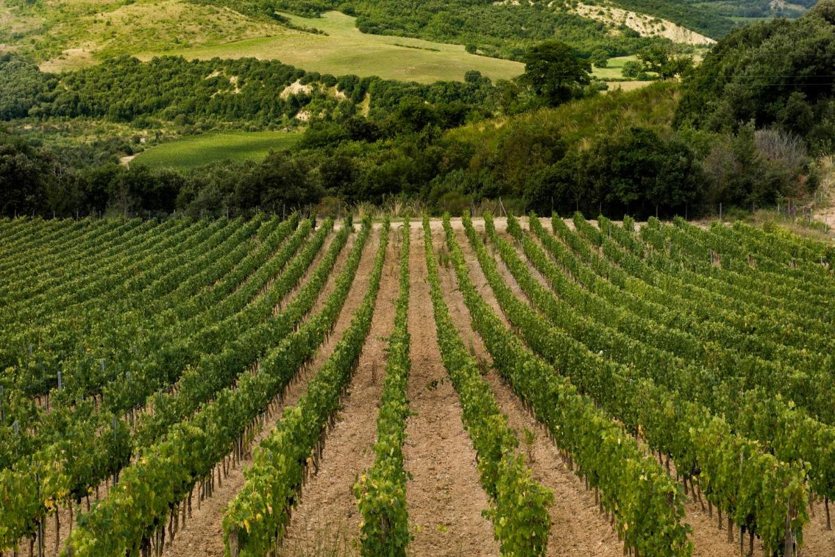 Castello di Velona Resort, Thermal SPA & Winery