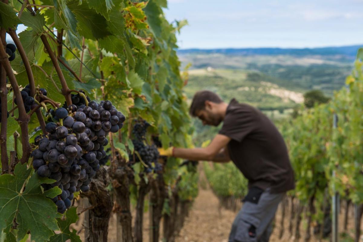 Castello di Velona Resort, Thermal SPA & Winery